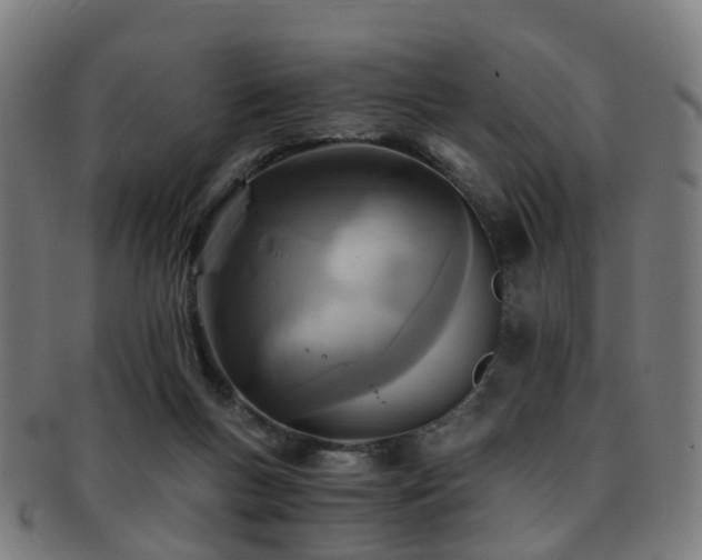 X0000091900167200709051409