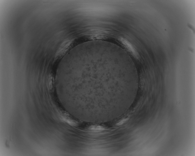 X0000091900169200709051409