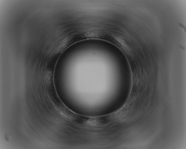 X0000091900171200709051409