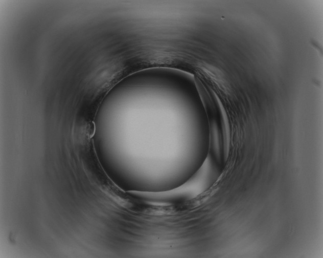 X0000091900172200709051409