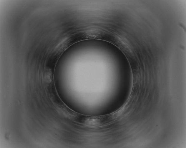 X0000091900174200709051409