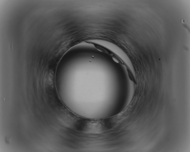 X0000091900175200709051409