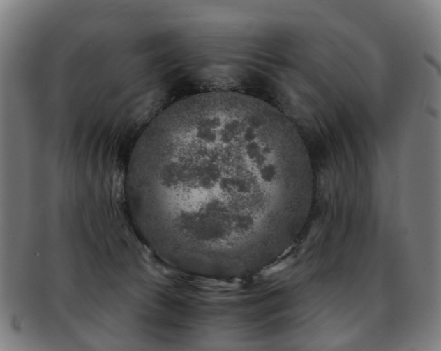 X0000091900177200709051409