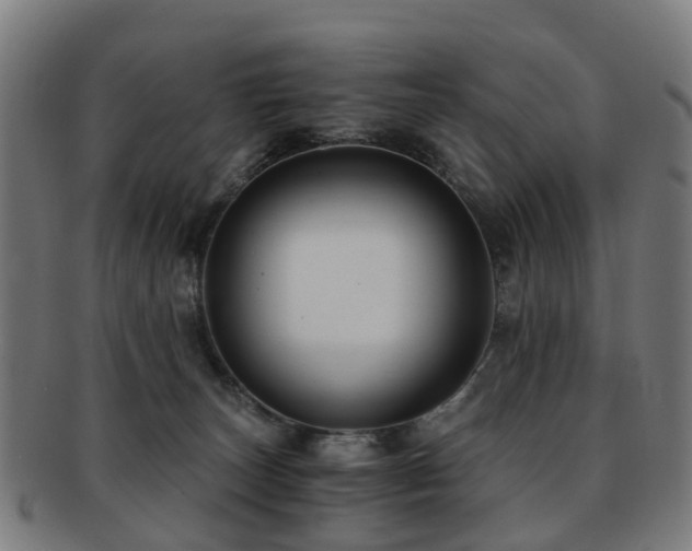 X0000091900179200709051410