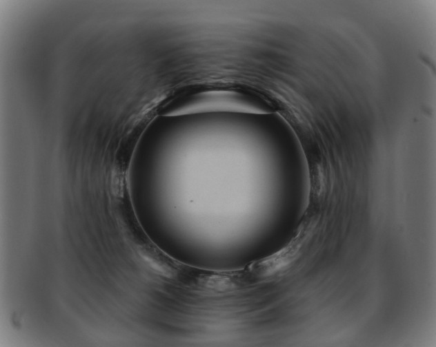 X0000091900180200709051410