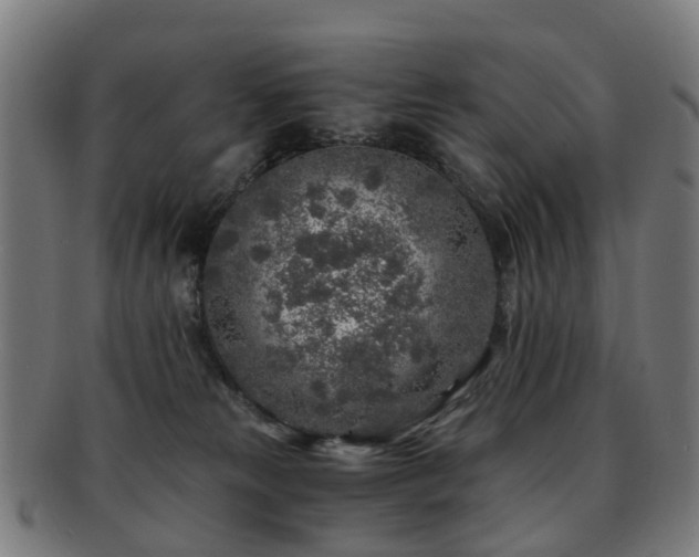 X0000091900181200709051410