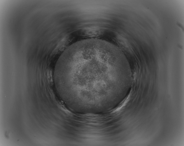 X0000091900182200709051410