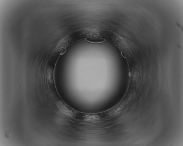 X0000091900185200709051410