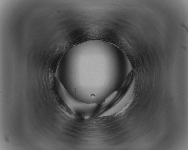 X0000091900186200709051410