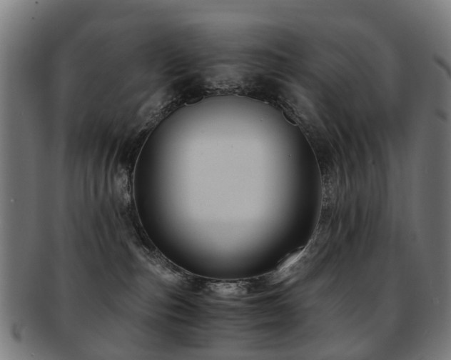 X0000091900187200709051410