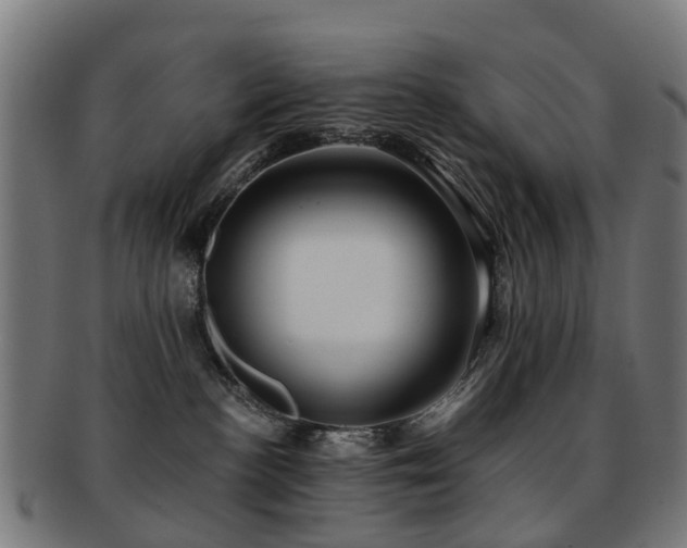 X0000091900188200709051410