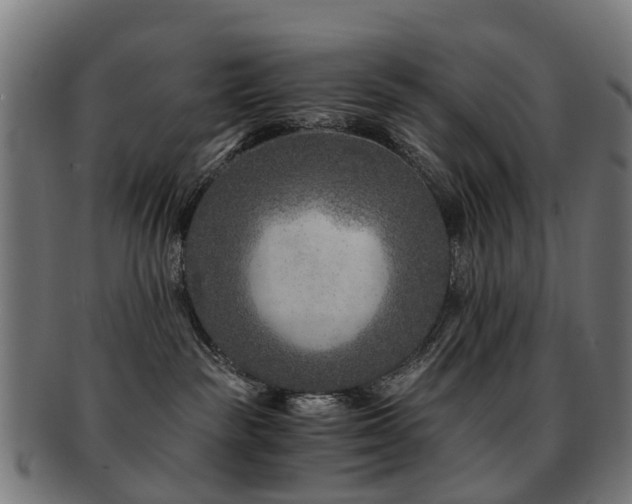 X0000091900189200709051410