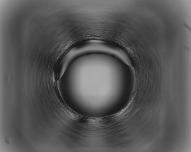 X0000091900192200709051410