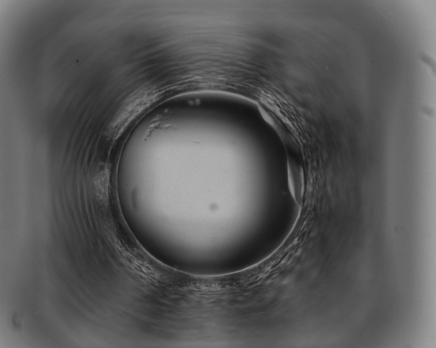 X0000091900194200709051409