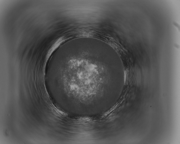 X0000091900195200709051409