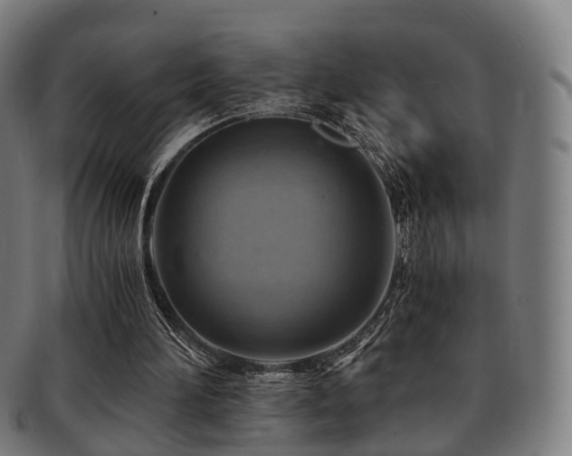 X0000091900196200709051409