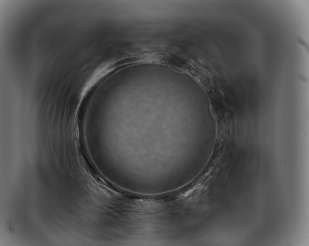 X0000091900198200709051409