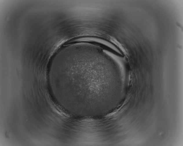 X0000091900203200709051409