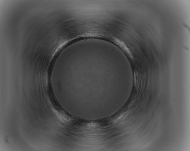 X0000091900204200709051409