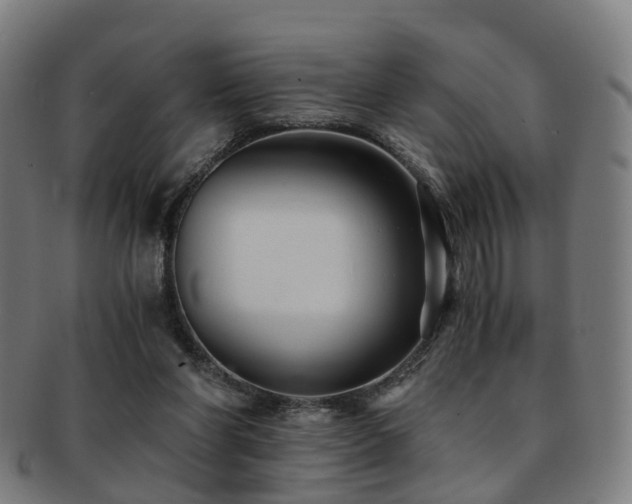 X0000091900206200709051409