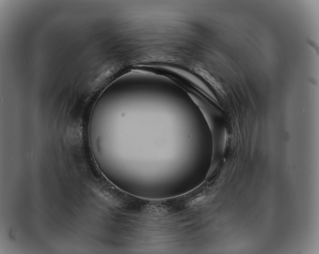 X0000091900207200709051409