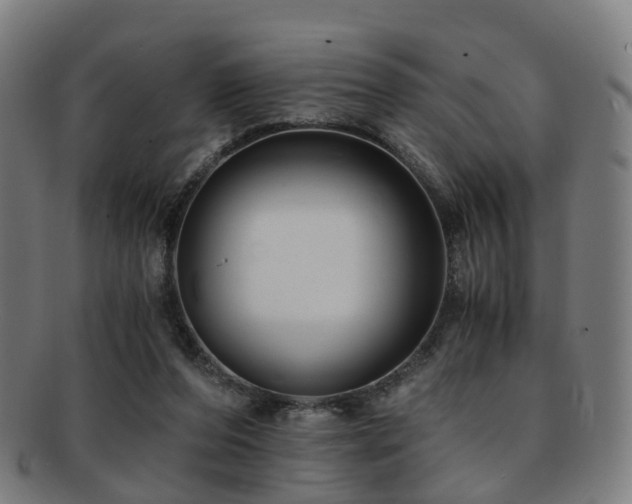 X0000091900208200709051409