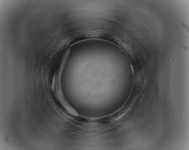 X0000091900209200709051409