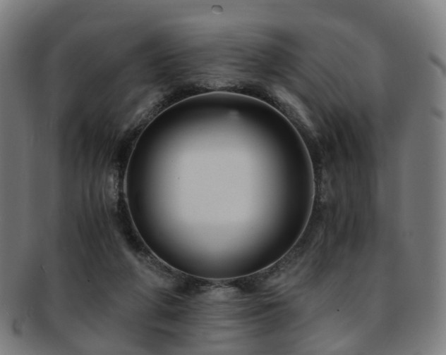 X0000091900210200709051409