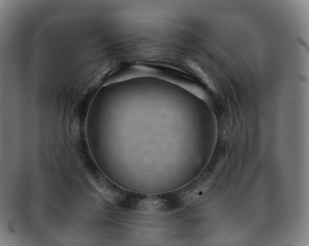 X0000091900213200709051409