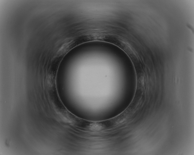 X0000091900218200709051409