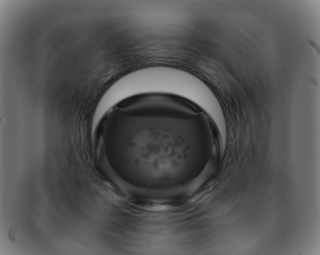 X0000091900219200709051409