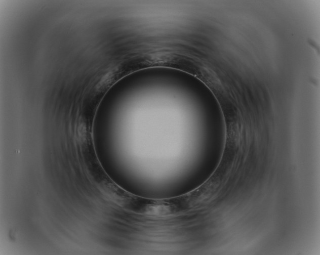 X0000091900220200709051409