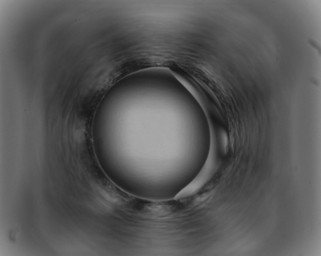 X0000091900221200709051409