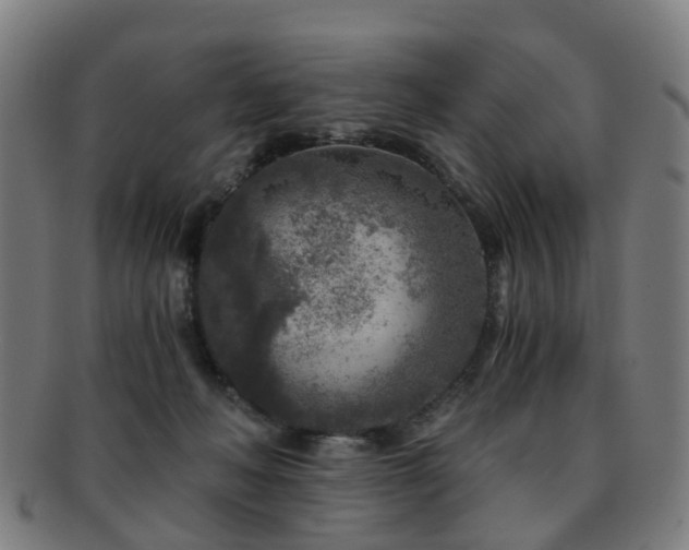 X0000091900222200709051409