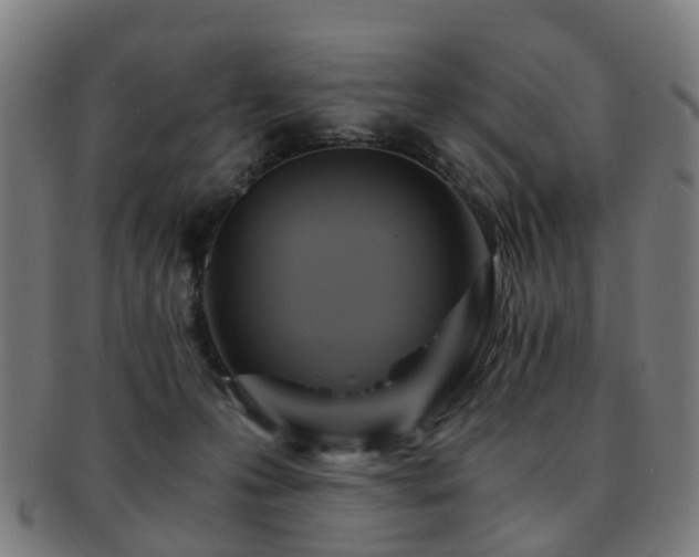 X0000091900223200709051409