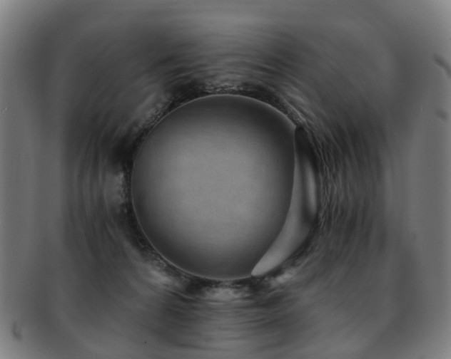 X0000091900224200709051409