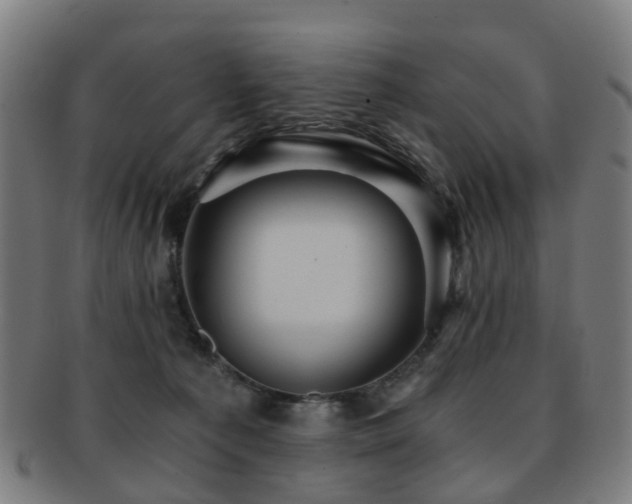 X0000091900225200709051409