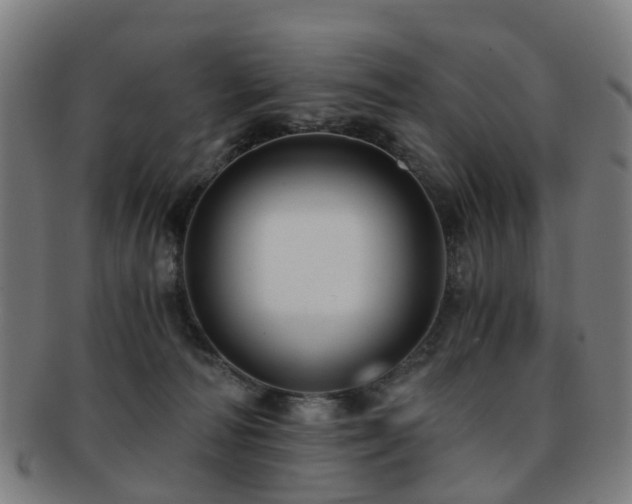 X0000091900226200709051409