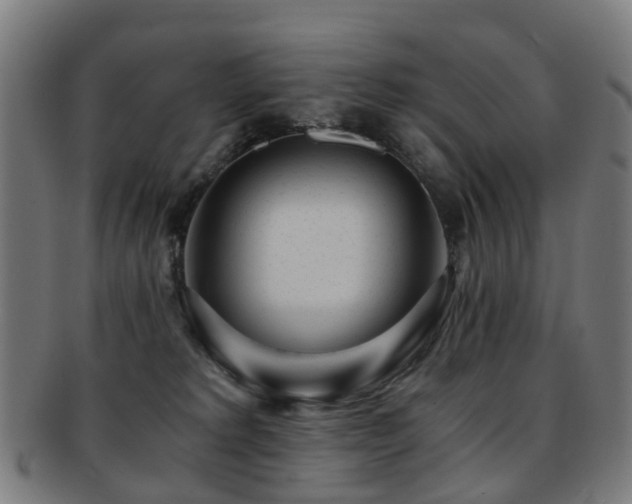 X0000091900229200709051409