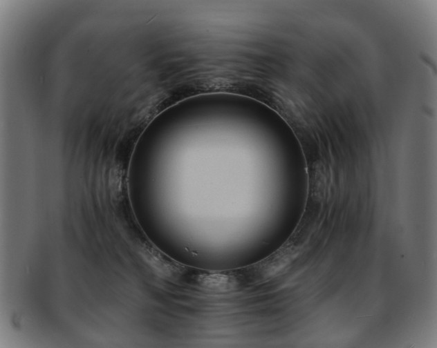 X0000091900230200709051409