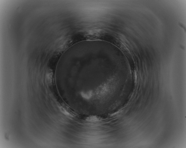 X0000091900231200709051408