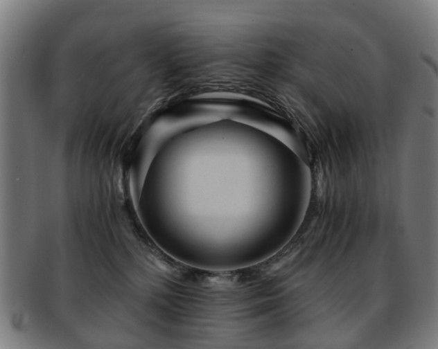 X0000091900232200709051408