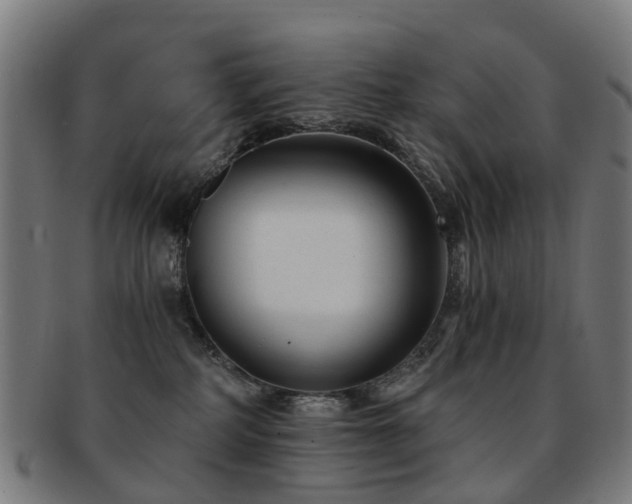 X0000091900234200709051408