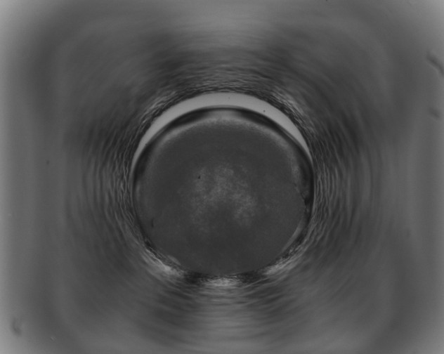 X0000091900237200709051408