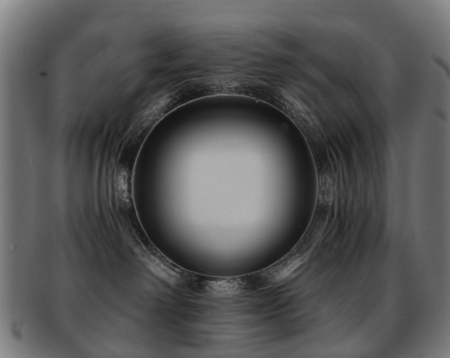 X0000091900238200709051408