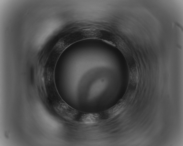 X0000091900239200709051408