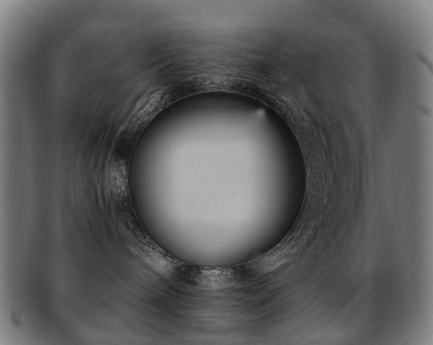 X0000091900240200709051408