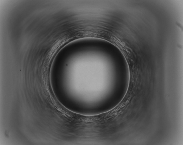 X0000091900241200709051408