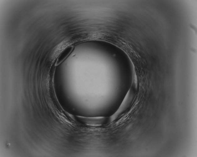 X0000091900242200709051408