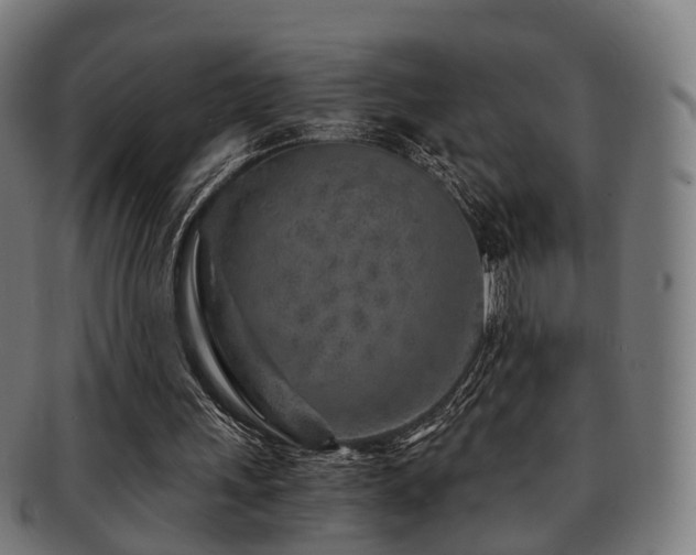 X0000091900243200709051408